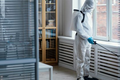Insectes nuisibles à la maison : quand faut-il faire appel à un professionnel ?